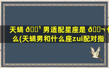 天蝎 🌹 男适配星座是 🐬 什么(天蝎男和什么座zui
配对指数)